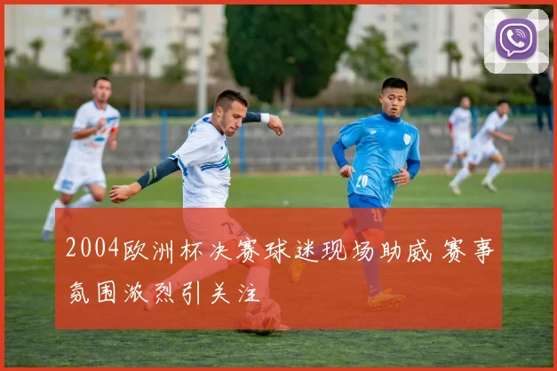 2004欧洲杯决赛球迷现场助威 赛事氛围浓烈引关注